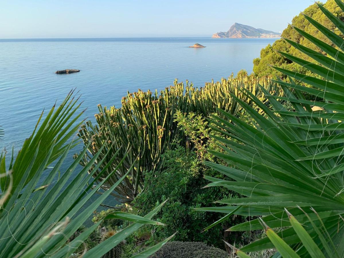 El Jardin Botanico Villa Luz Αλτέα Εξωτερικό φωτογραφία