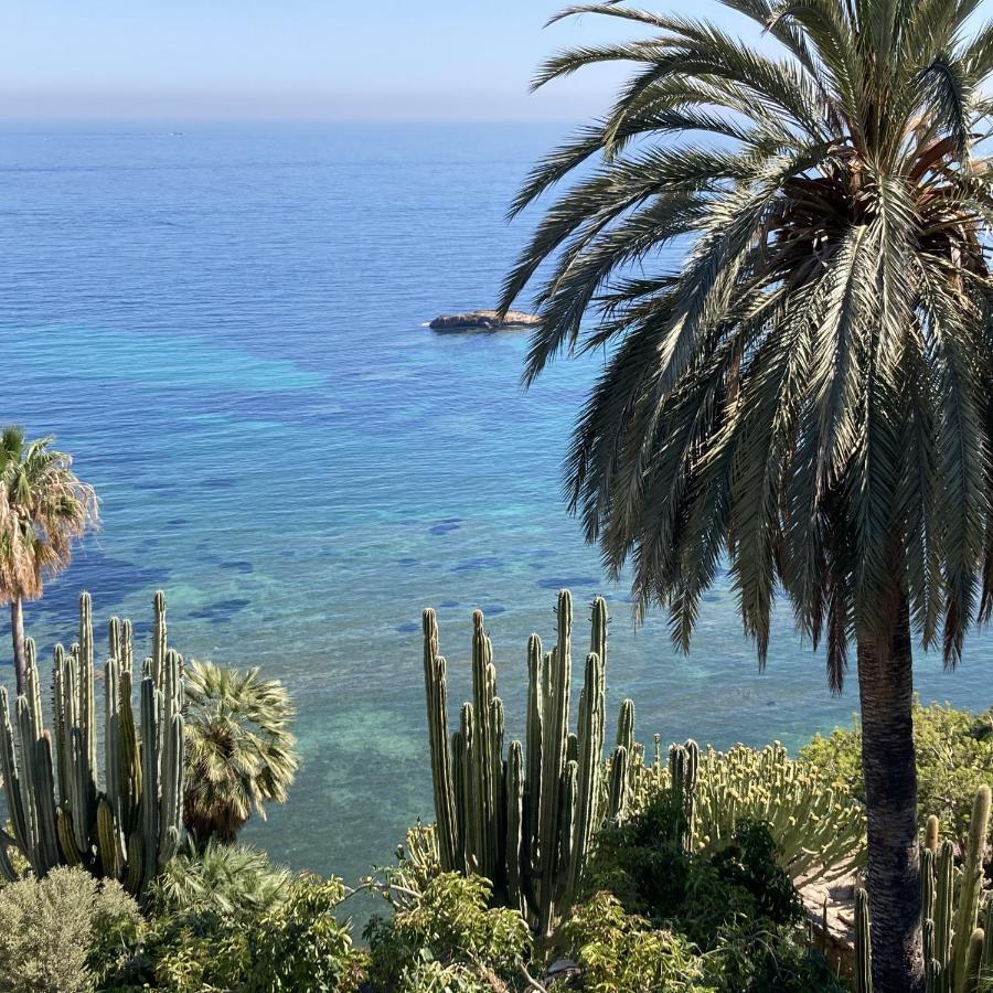 El Jardin Botanico Villa Luz Αλτέα Εξωτερικό φωτογραφία