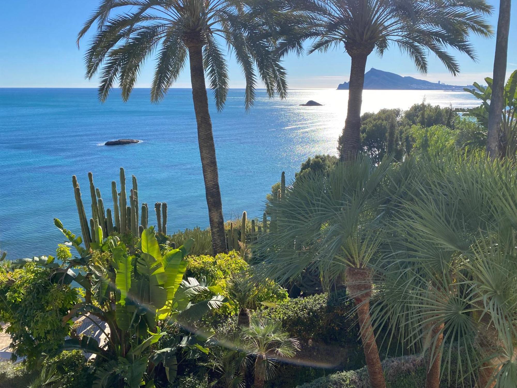 El Jardin Botanico Villa Luz Αλτέα Εξωτερικό φωτογραφία